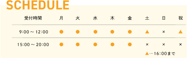スケジュール
